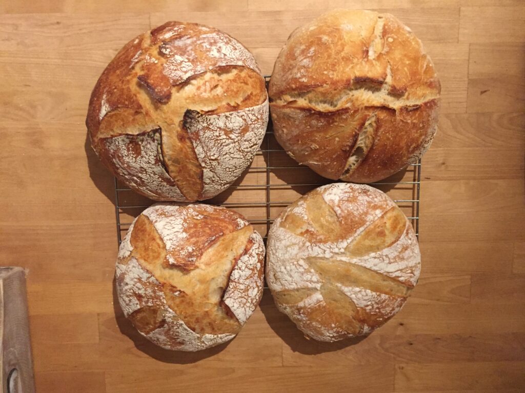 sourdough bread baked homemade